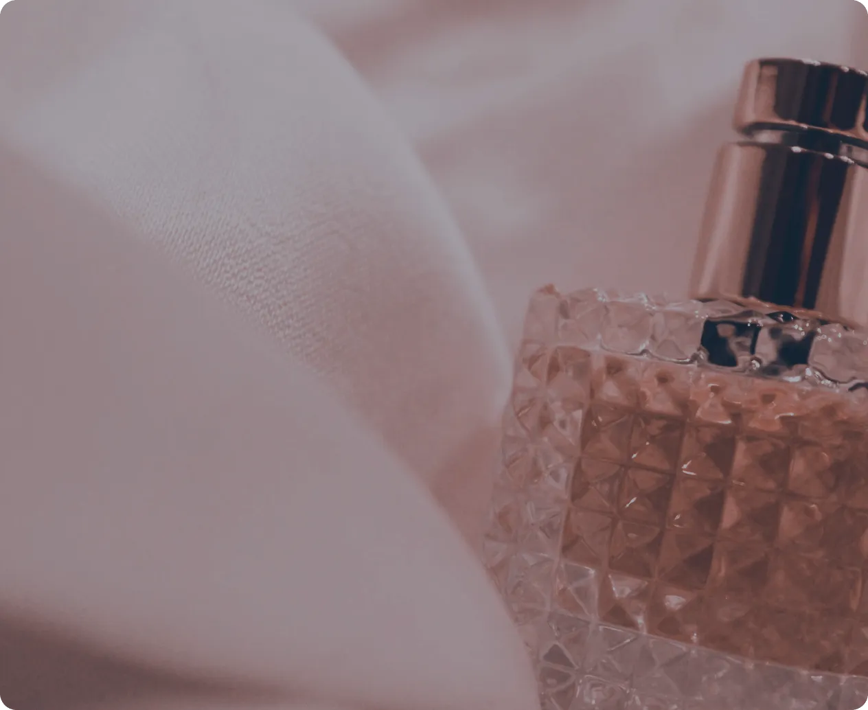 A Luxury Fragrance House Gains Strategic Visibility Across Online Channels