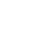 BrandVerse Labs growth