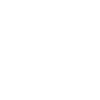 BrandVerse Labs intelligence